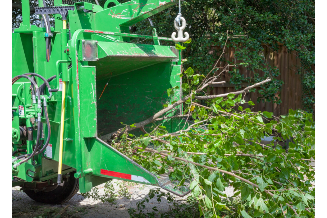 TreeCareAnaheim tree removal in anaheim california with tree laying across the road after a storm