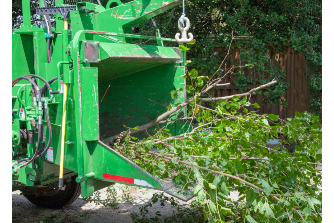 tree removal in anaheim california with tree laying across the road after a storm